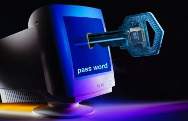 飛起來的互聯網 開始腳踏“實”地